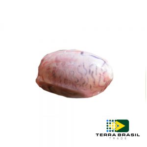 bonivo-testiculo-exportacao-terra-brasil-trade