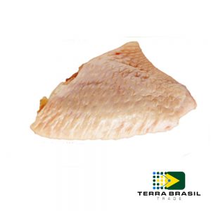 poultry-chicken-middle-joint-wings-export-terra-brasil-trade
